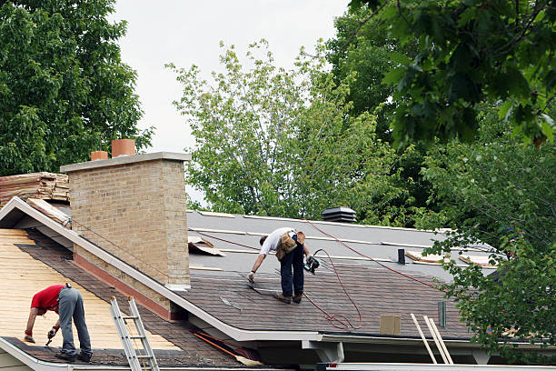 Best Chimney Flashing Repair  in Spring Hill, KS